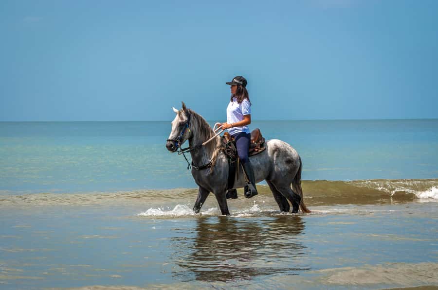 Cartagena: Beach Horse Ride and Colombian Equestrian Culture - Photos, Non-Alcoholic Drinks, and the Restaurant Finish