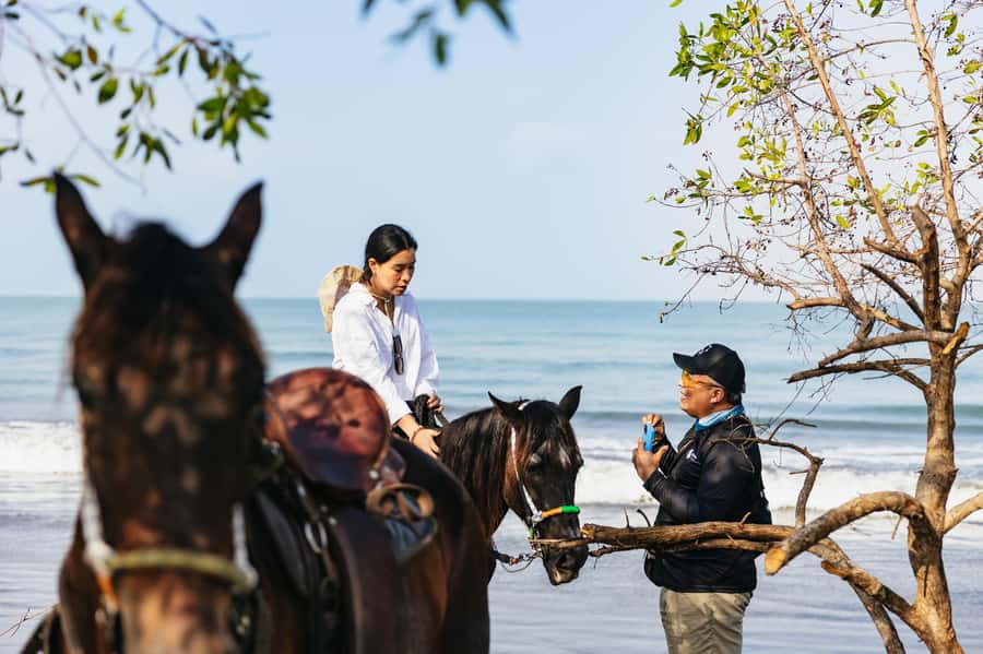 Cartagena: Beach Horse Ride and Colombian Equestrian Culture - Who Should Book This Cartagena Horse Ride (and Who Should Skip)