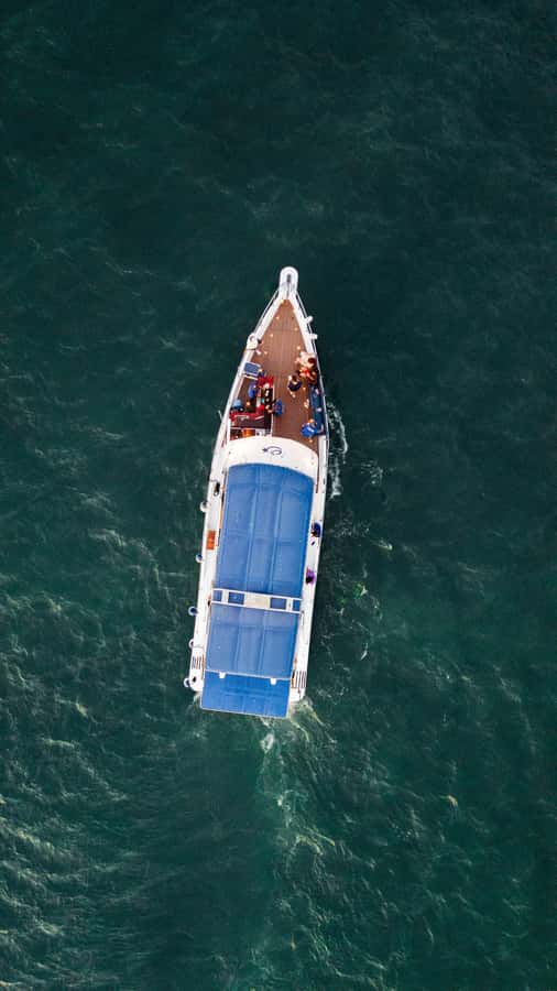 Cartagena: Cruise by the Bay with Dinner and Wine - What to bring (and what not to bring)
