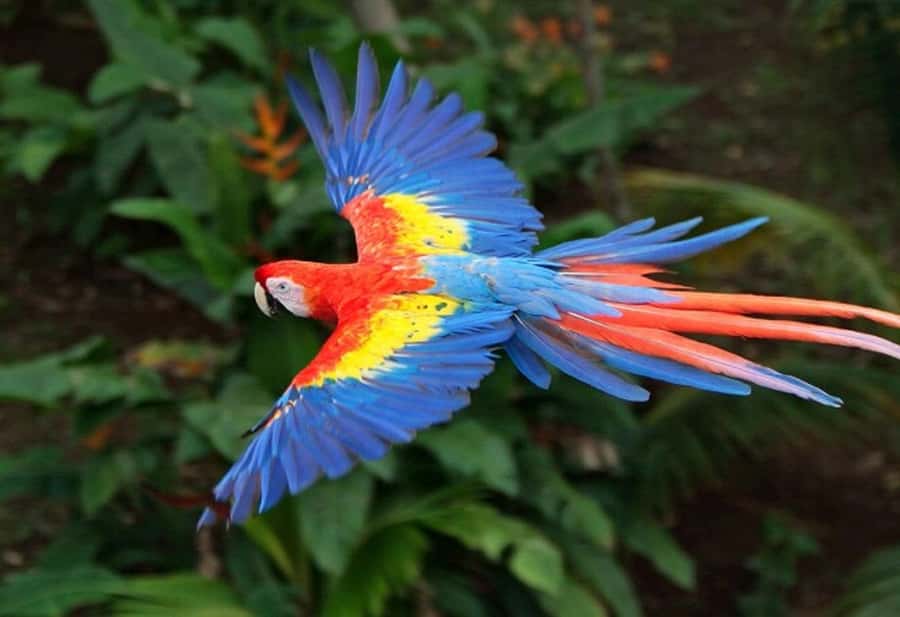 Cartagena: Entrance to the AVIARY with TRANSFER INCLUDED - What’s Included (and What You Should Plan for Budget-Wise)