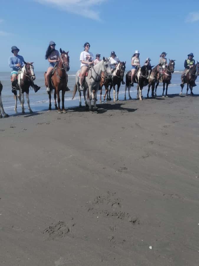 Cartagena: Horse Riding on the Beach with Photos and Lunch - Key things that make this ride worth it