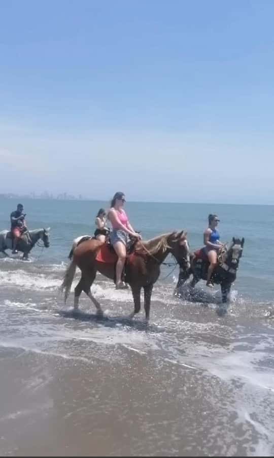 Cartagena: Horse Riding on the Beach with Photos and Lunch - Cartagena beach horse riding: sea time plus hands-on support