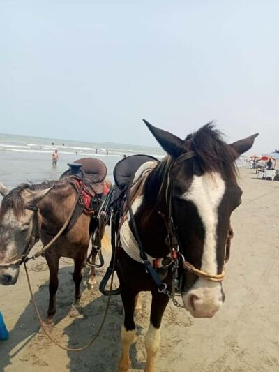 Cartagena: Horse Riding on the Beach with Photos and Lunch - How the 30 to 60 minutes on horseback actually feels