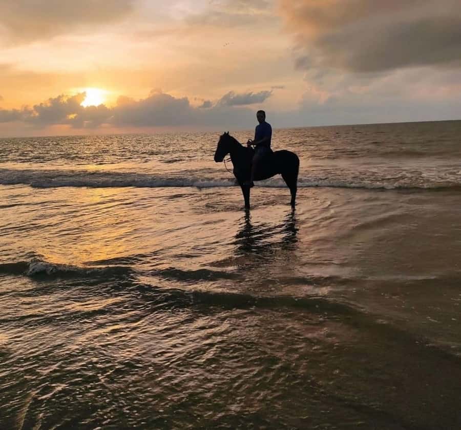 Cartagena: Horseback Ridding Excursion on the Beach - Why This Cartagena Beach Ride Feels Different