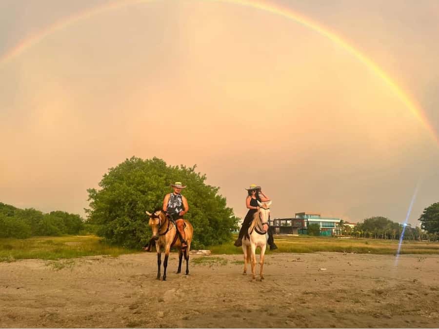 Cartagena: Horseback Ridding Excursion on the Beach - The 1-Hour Beach Ride: Sand, Salt Air, and a Laid-Back Pace