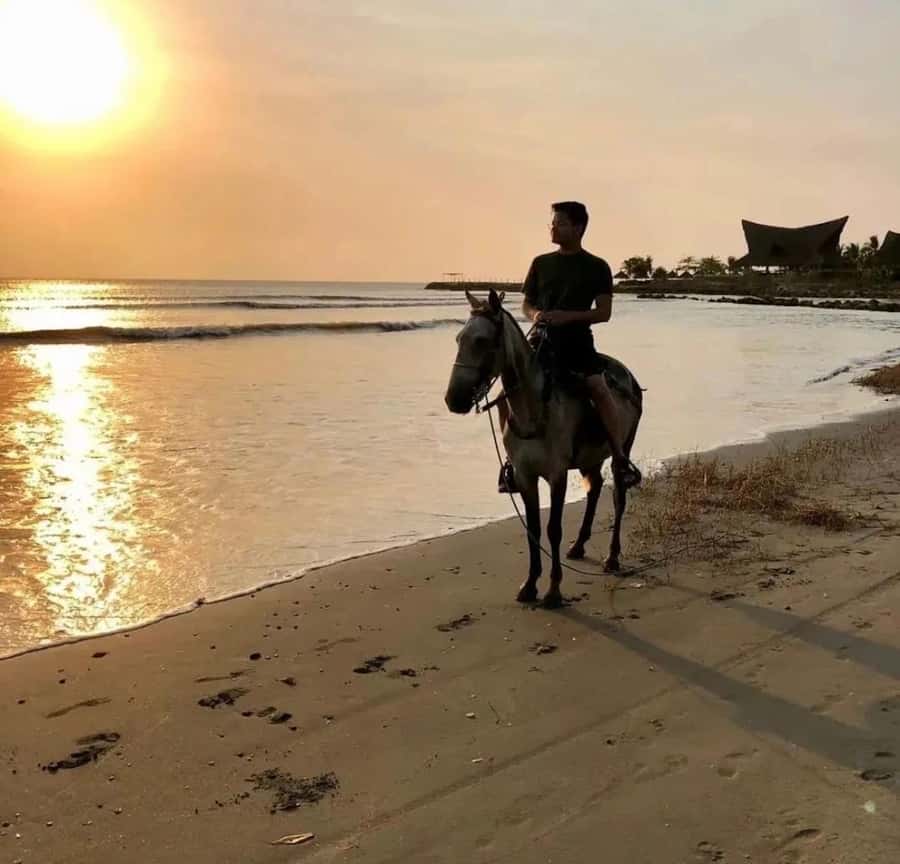 Cartagena: Horseback Ridding Excursion on the Beach - Meet Your Guide and Get Paired With the Right Horse
