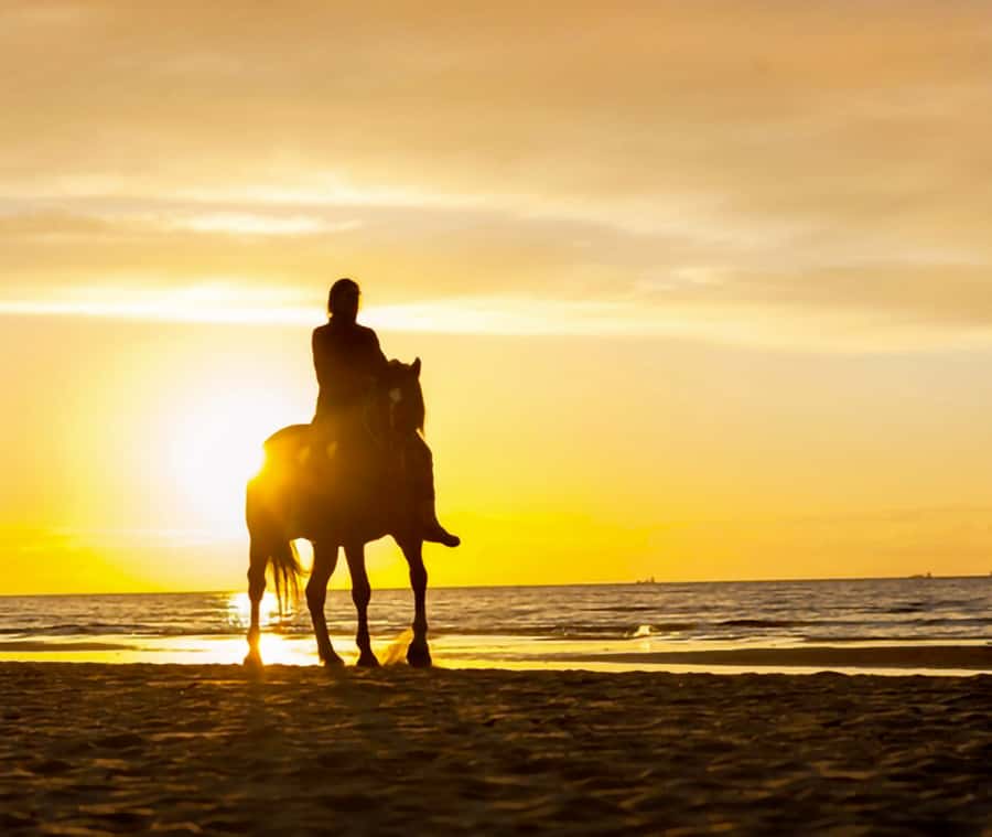 Cartagena: Horseback Riding on the Beach at Sunset - Key takeaways before you go