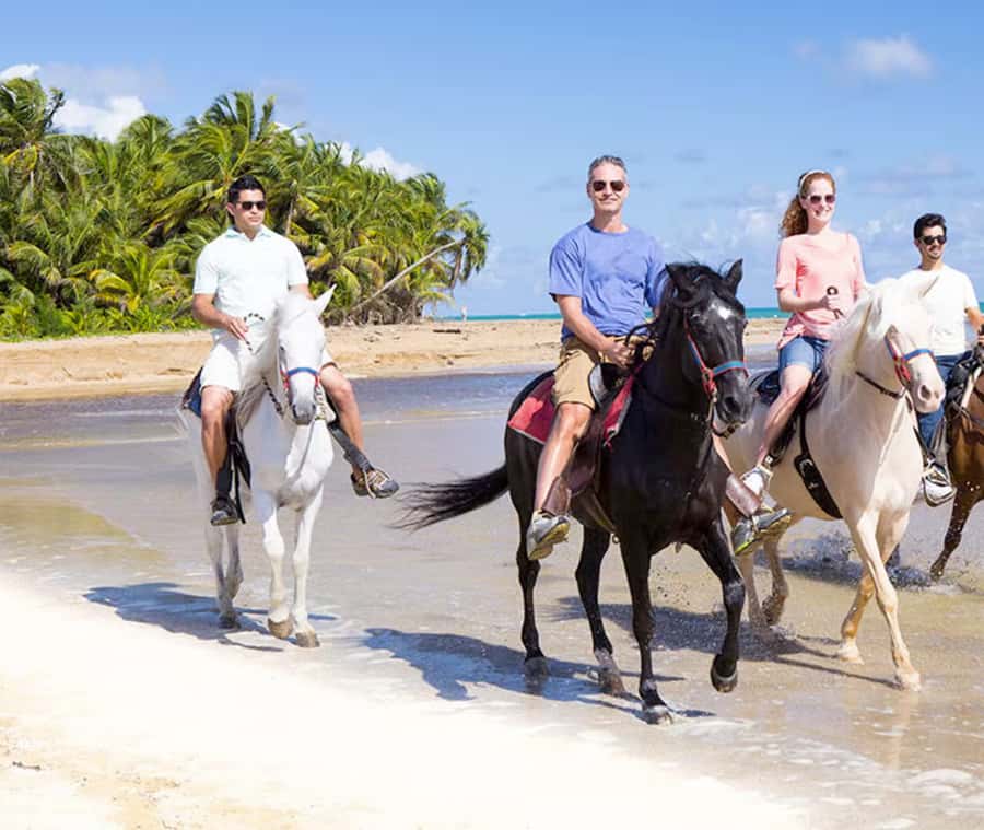 Cartagena: Horseback Riding on the Beach at Sunset - Why a La Boquilla beach ride feels different from Cartagena’s main sights