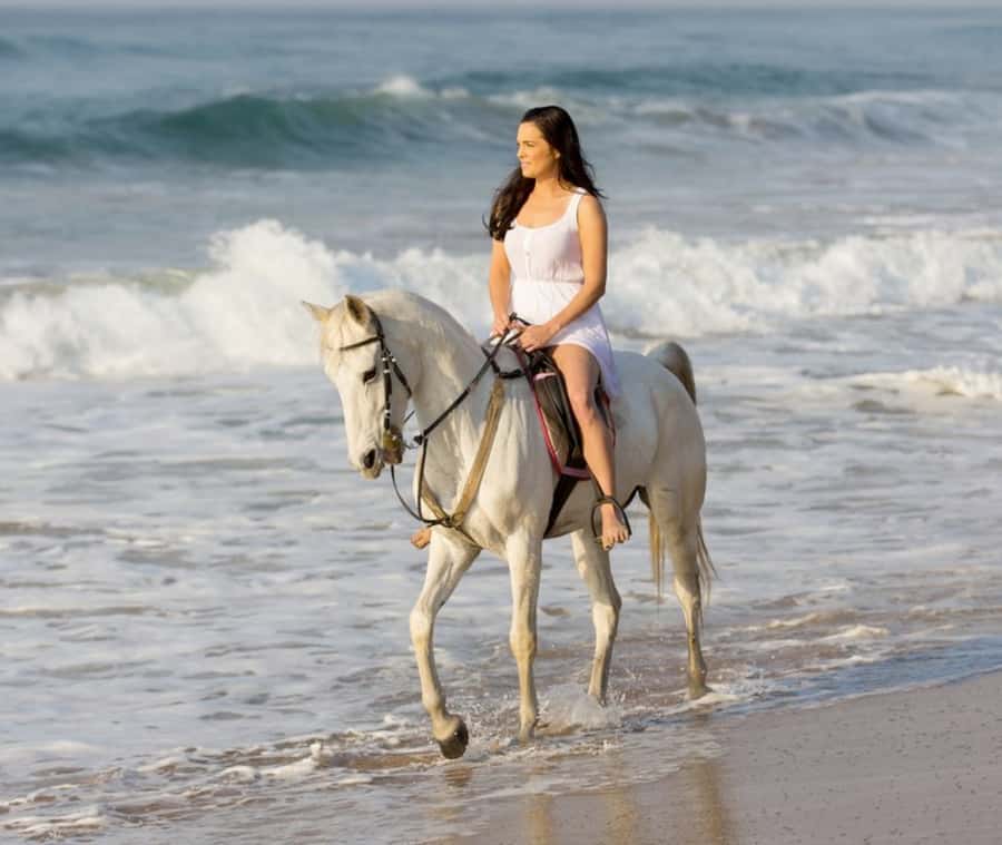 Cartagena: Horseback Riding on the Beach at Sunset - Your 7-person crew and the bilingual guide team (Jose, Gabriel, and Miguel)