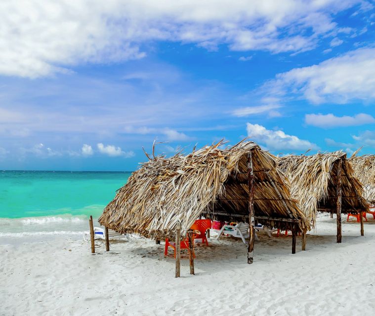 Cartagena: Horseback Riding on the Beach at Sunset - La Boquilla: mangroves, wildlife, and eco-tourism that’s more than a photo caption