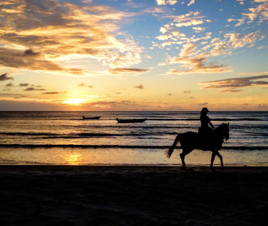 Cartagena: Horseback Riding on the Beach at Sunset - Is $50 worth it? The value math for a sunset horse ride with lunch