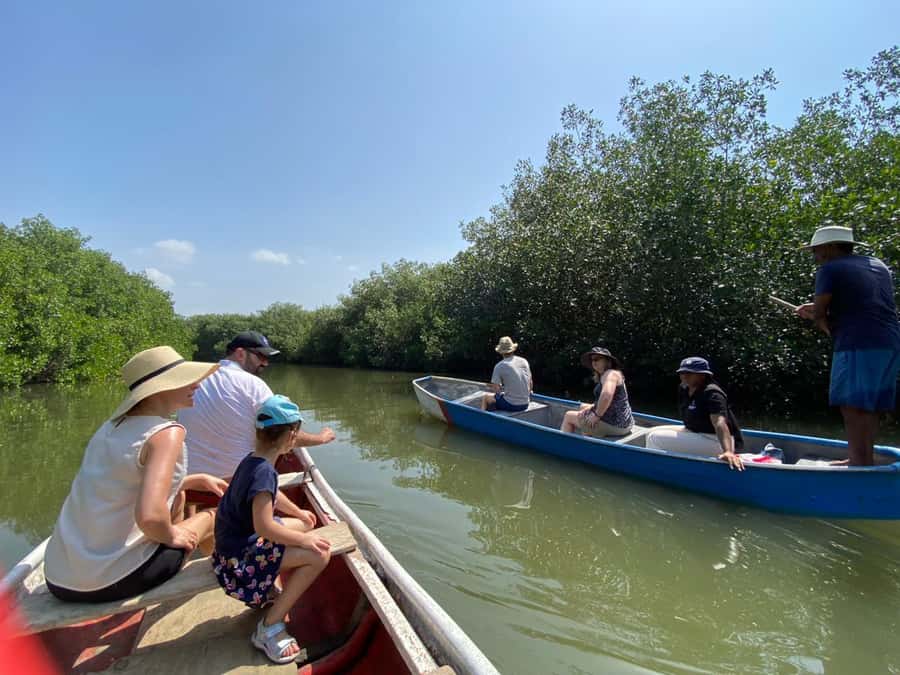 Cartagena: Mangrove Eco Tour & Fishing with Transportation - Why Cartagena’s La Boquilla mangroves feel different than most tours