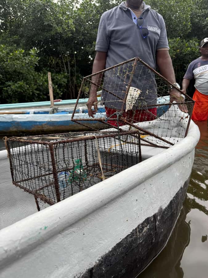 Cartagena: Mangrove Eco Tour & Fishing with Transportation - The natural island stop: community life inside the ecosystem