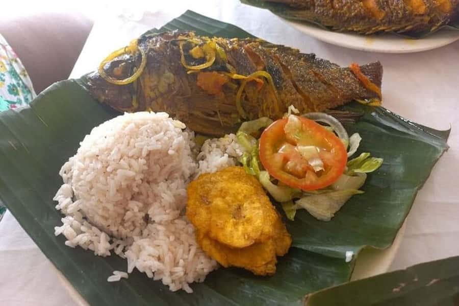 Cartagena: Palenque Tour and Road to Emancipation - Pick-up and ride logistics from Cartagena