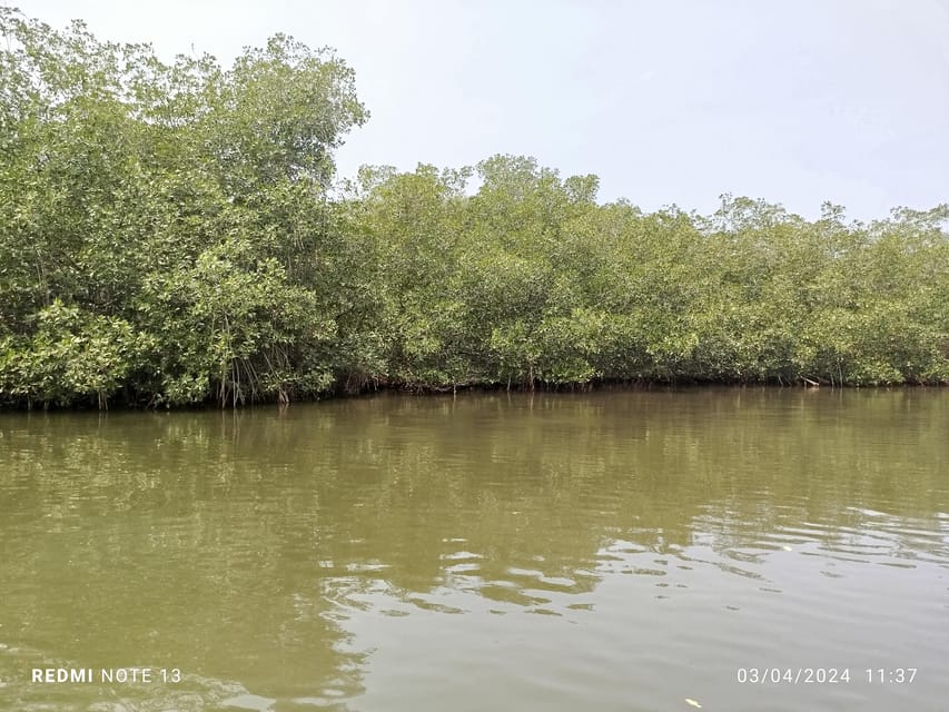 Cartagena: Private Sail in the mangrove GUIDE in ENGLISH - Should you book Cartagena private sail through the mangroves?