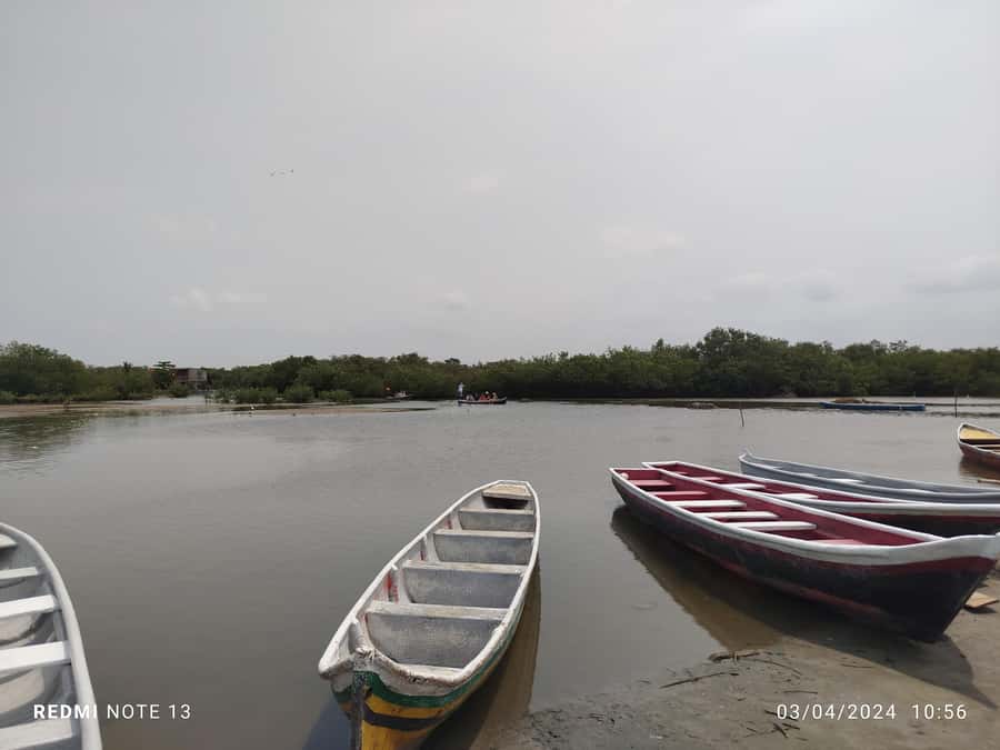 Cartagena: Private Sail in the mangrove GUIDE in ENGLISH - How long it takes: what 90 minutes really feels like