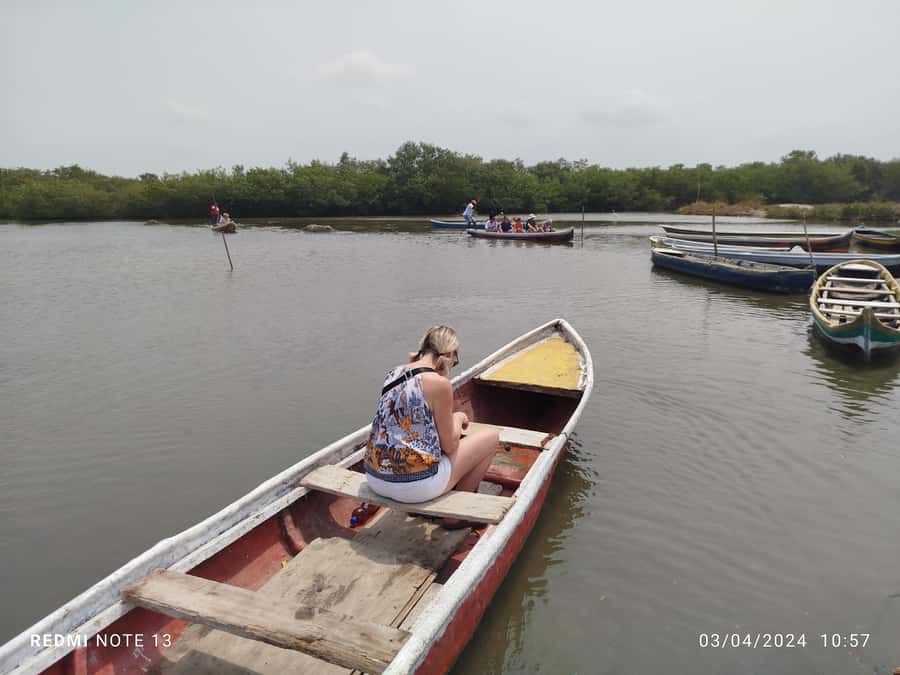 Cartagena: Private Sail in the mangrove GUIDE in ENGLISH - Who should book this mangrove sail (and who might not)