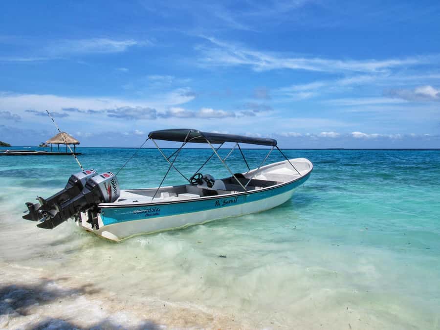 Cartagena: Rosario Island and Mangroves Private Day Trip - Price and value: is $244 per person worth it?