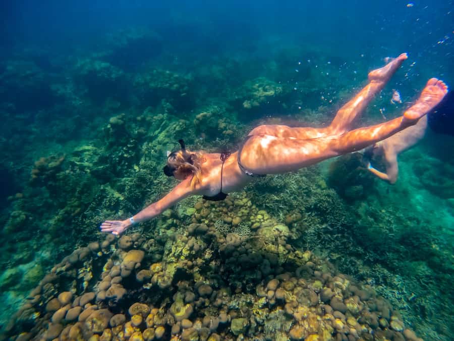 Cartagena: Rosario Islands Day Tour with Snorkel & Lunch - From Todomar in Bocagrande: Meeting Time, Speedboat Legs, and Sea-Sense