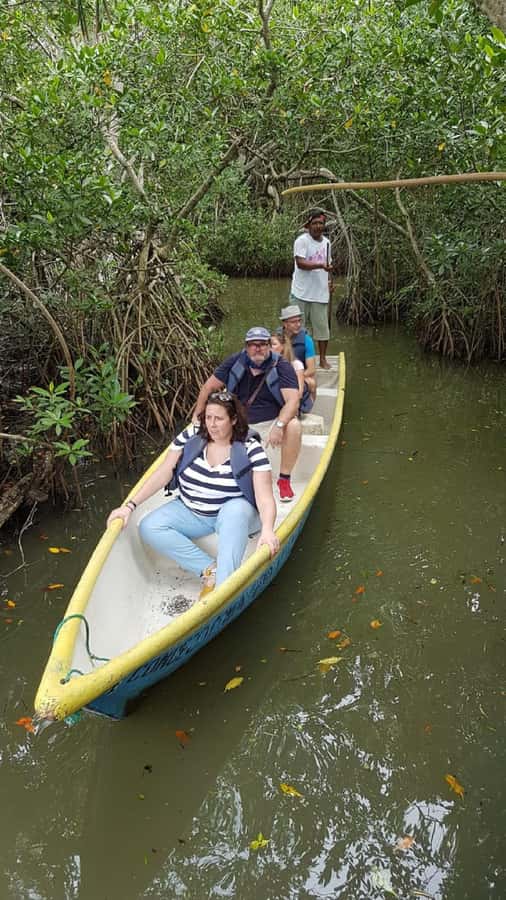 Cartagena: Sail in the mangroves of Cartagena - Key points before you go