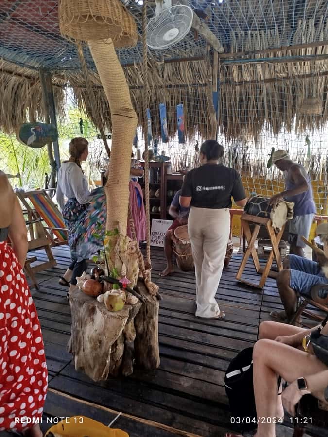 Cartagena: Sail in the mangroves of Cartagena - What you’ll actually do, step by step