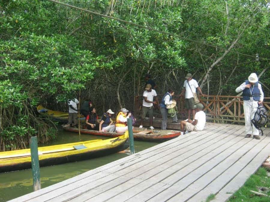 Cartagena: Sail in the mangroves of Cartagena - Price value: why $23 can be a good deal