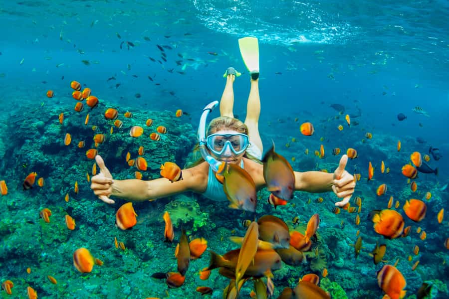 Cartagena: Snorkel, Mangroves and Playa Blanca Tour - What I like most