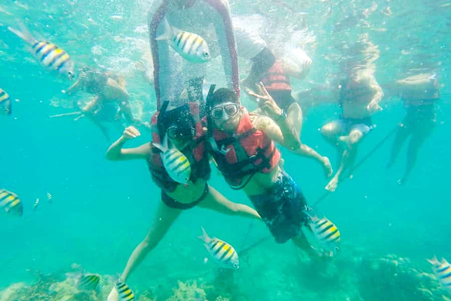 Cartagena: Snorkel, Mangroves and Playa Blanca Tour - One heads-up to plan around