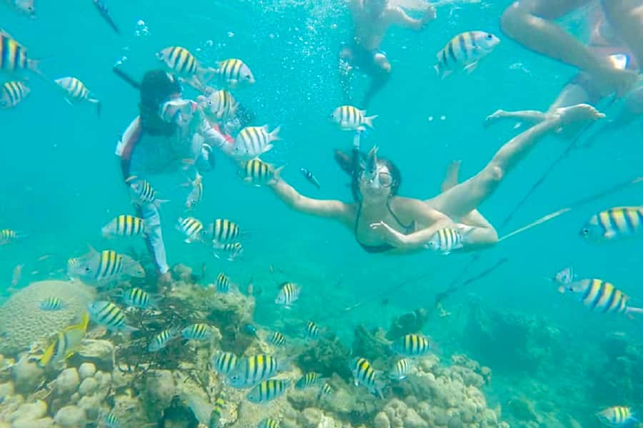 Cartagena: Snorkel, Mangroves and Playa Blanca Tour - A mangrove walk and beach break, not just another boat day
