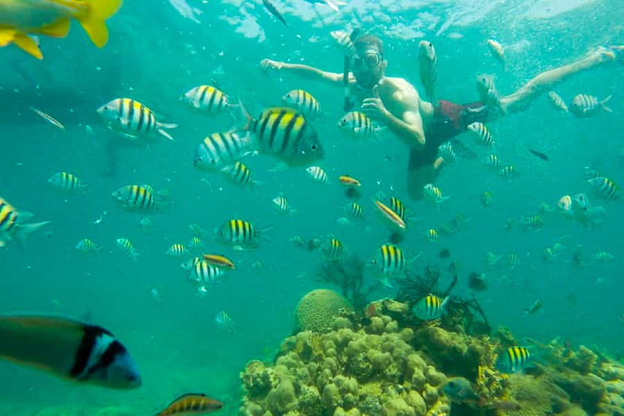 Cartagena: Snorkel, Mangroves and Playa Blanca Tour - Morning logistics: 7:30 pickup and the ride to Barú