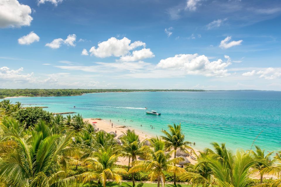Cartagena: Snorkel, Mangroves and Playa Blanca Tour - Snorkeling at Barú: best-case coral color vs. murky-water reality