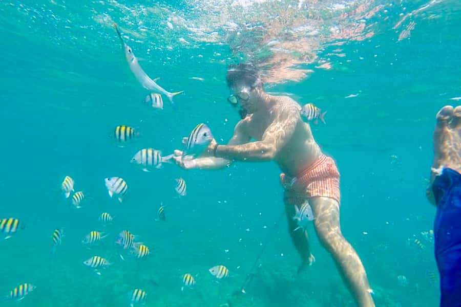 Cartagena: Snorkel, Mangroves and Playa Blanca Tour - Playa Blanca lunch and white-sand downtime at about 1:00 PM