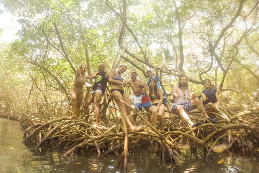 Cartagena: Snorkel, Mangroves and Playa Blanca Tour - Photos, drinks, and gear: where this tour can feel like good value