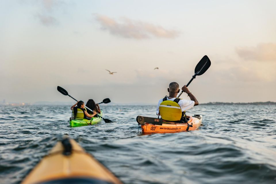 Cartagena: Sunset Sea Kayaking Tour - What to bring (and what will save you later)