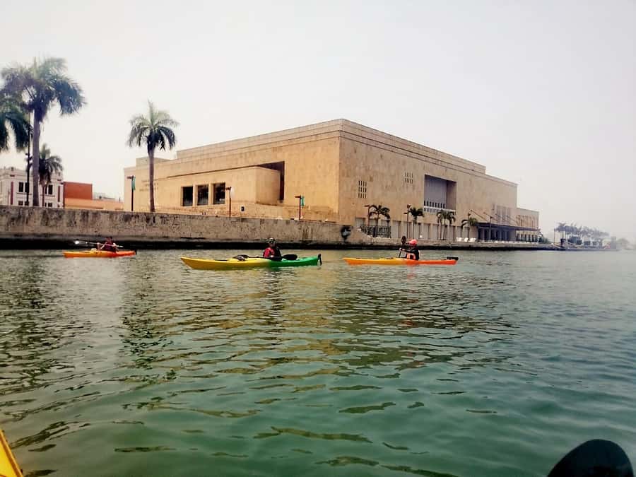 Cartagena: Walled City Kayak Tour - Bird’s Island: birdsong, mangroves, and your best photos