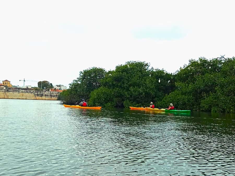 Cartagena: Walled City Kayak Tour - Gear, pace, and who this tour fits best