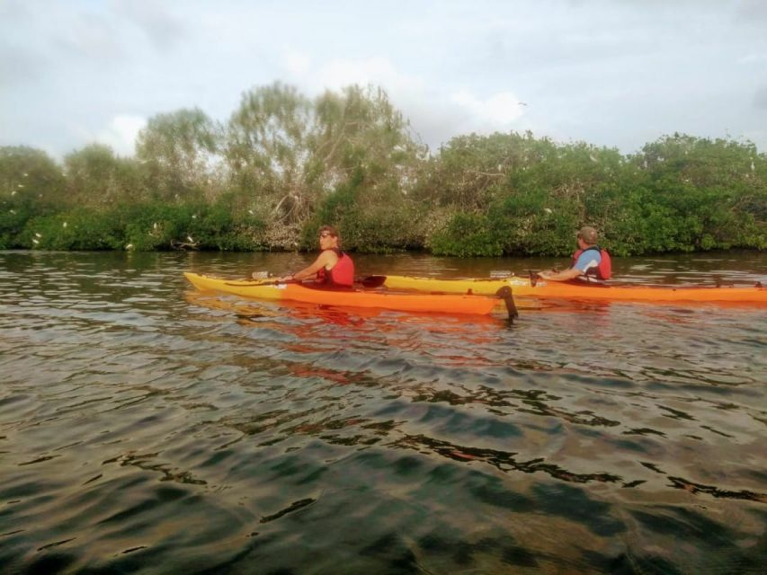 Cartagena: Walled City Kayak Tour - Should you book the Cartagena Walled City Kayak Tour?
