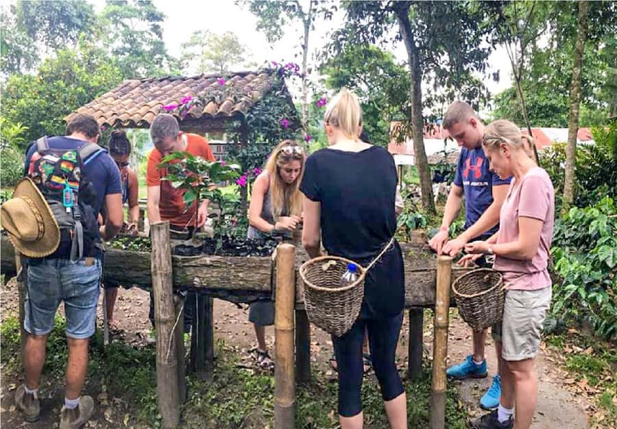 Coffee Farm Tour at Finca El Ocaso from Salento - Key highlights from Finca El Ocaso