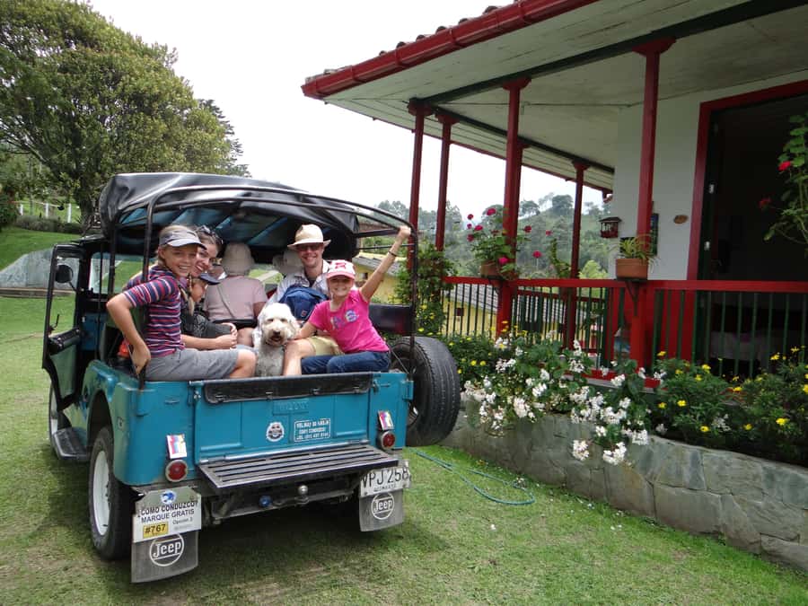 Coffee Farm Tour at Finca El Ocaso from Salento - Walking the coffee farm: plants, birds, and a real working rhythm