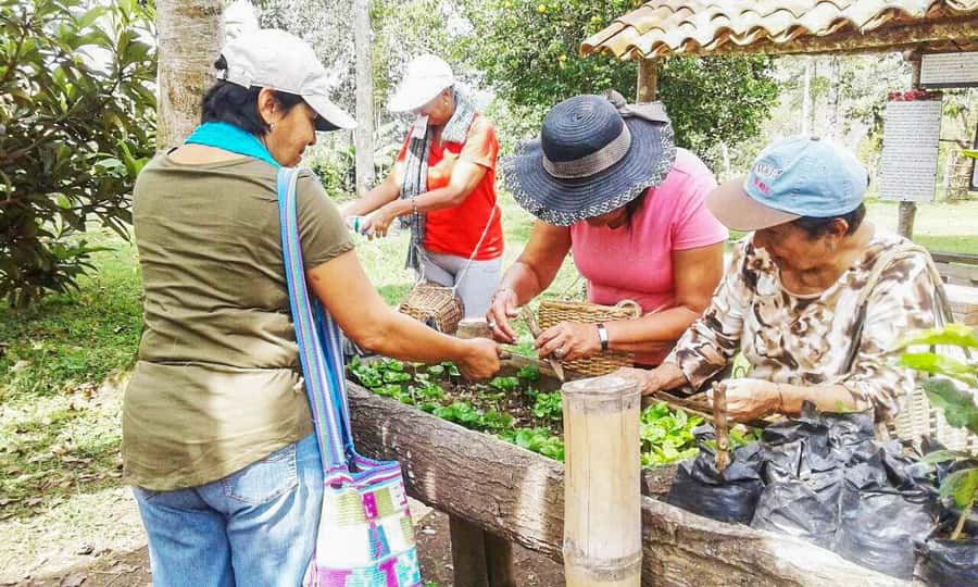 Coffee Farm Tour at Finca El Ocaso from Salento - Coffee tasting: learning aromas and how brewing changes flavor