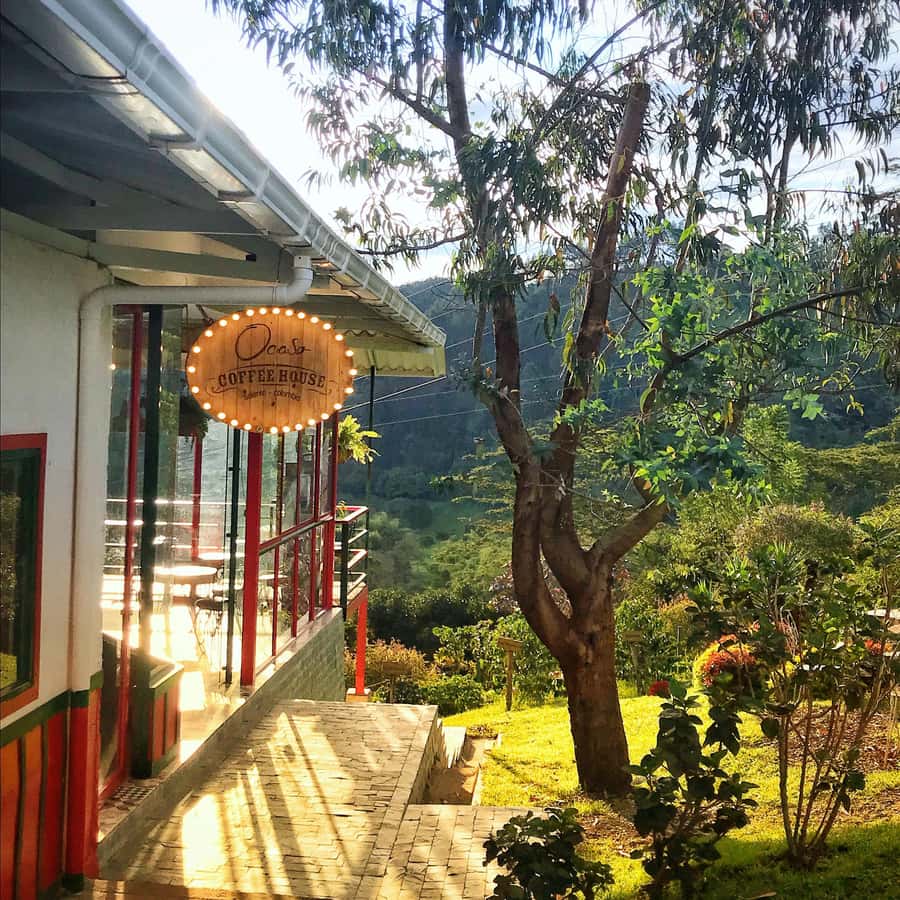 Coffee Farm Tour at Finca El Ocaso from Salento - Who this tour suits best (and who should reconsider)