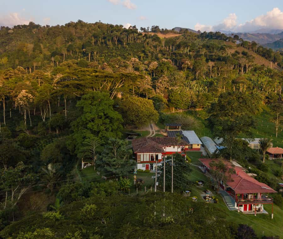 Coffee Farm Tour at Finca El Ocaso from Salento - Should you book the Coffee Farm Tour at Finca El Ocaso?