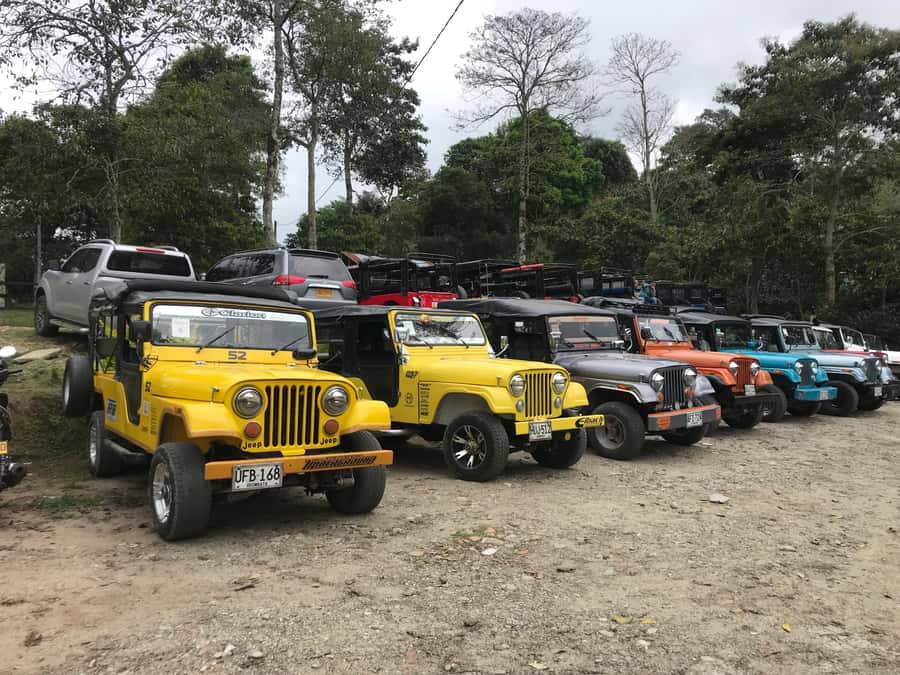 Coffee Farm Tour at Finca El Ocaso from Salento - FAQ