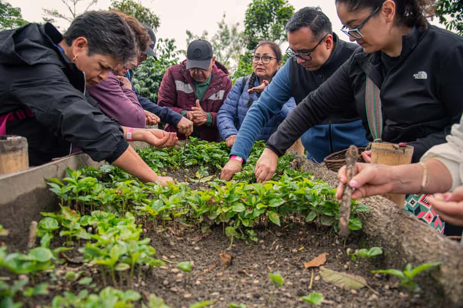 Coffee Tour at Finca El Ocaso Salento: Traditional Spanish Farm - Coffee farm tour vibes in Tolima: what you’re really paying for