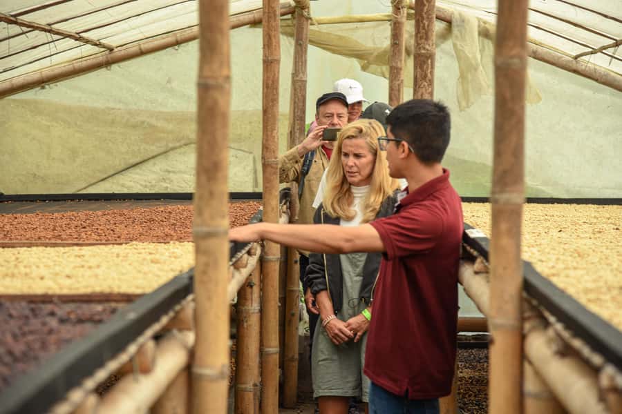 Coffee Tour at Finca El Ocaso Salento: Traditional Spanish Farm - Walking the gardens and plantations: from planting to harvesting