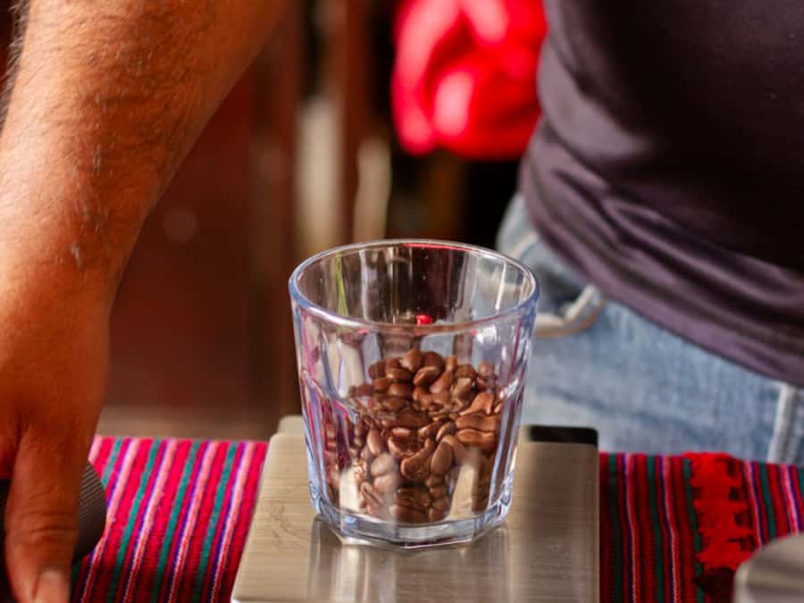 Coffee Tour in Antigua Guatemala - What you learn about the eight coffee regions