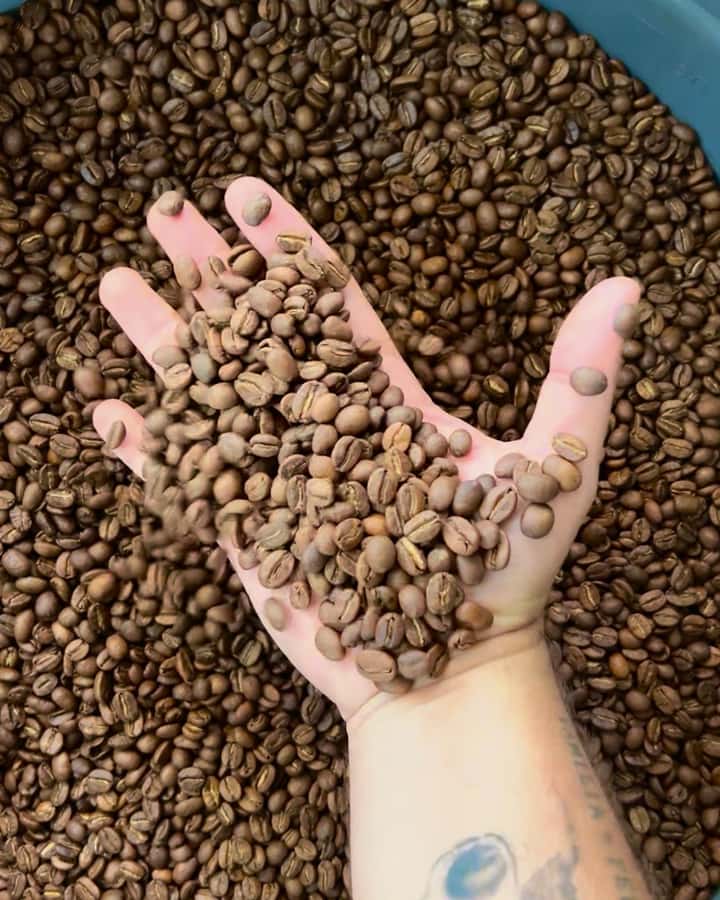 Coffee Tour Salento-Ocaso Farm- English Tour - Key takeaways before you go