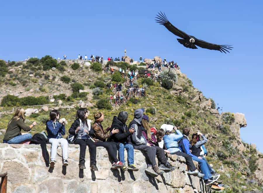 Colca Canyon: 2-Day Tour from Arequipa to Puno - Colca Canyon meets Lake Titicaca: why this 2-day route is a smart use of time