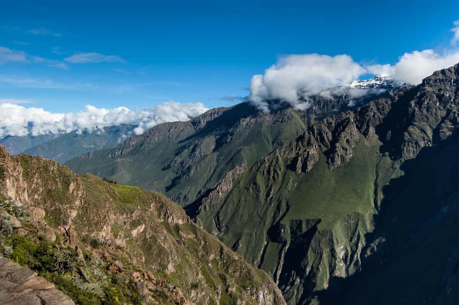Colca Canyon: 2-Day Tour from Arequipa to Puno - What the guide and driver do for your trip (not just directions)