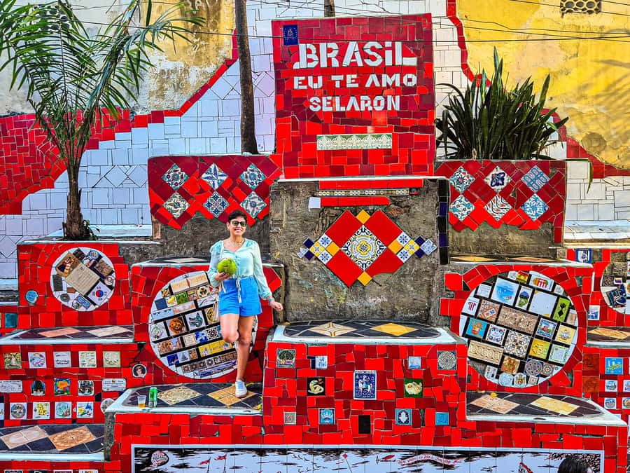 Corcovado, Sugarloaf Mountain, and Selarón Steps 6-Hour Tour - Who should book this tour (and who might want something else)